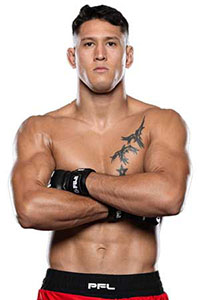 Джино ван Стинис (Gino van Steenis)